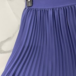 J Crew Skirt